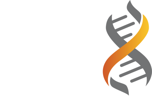 6 Log Solutions